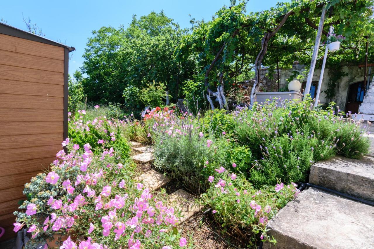 Casa Vasilia Traditional Home Kástellos Dış mekan fotoğraf